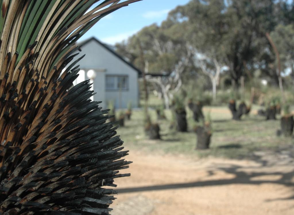 Villa Esperance Coastal Retreat Esterno foto